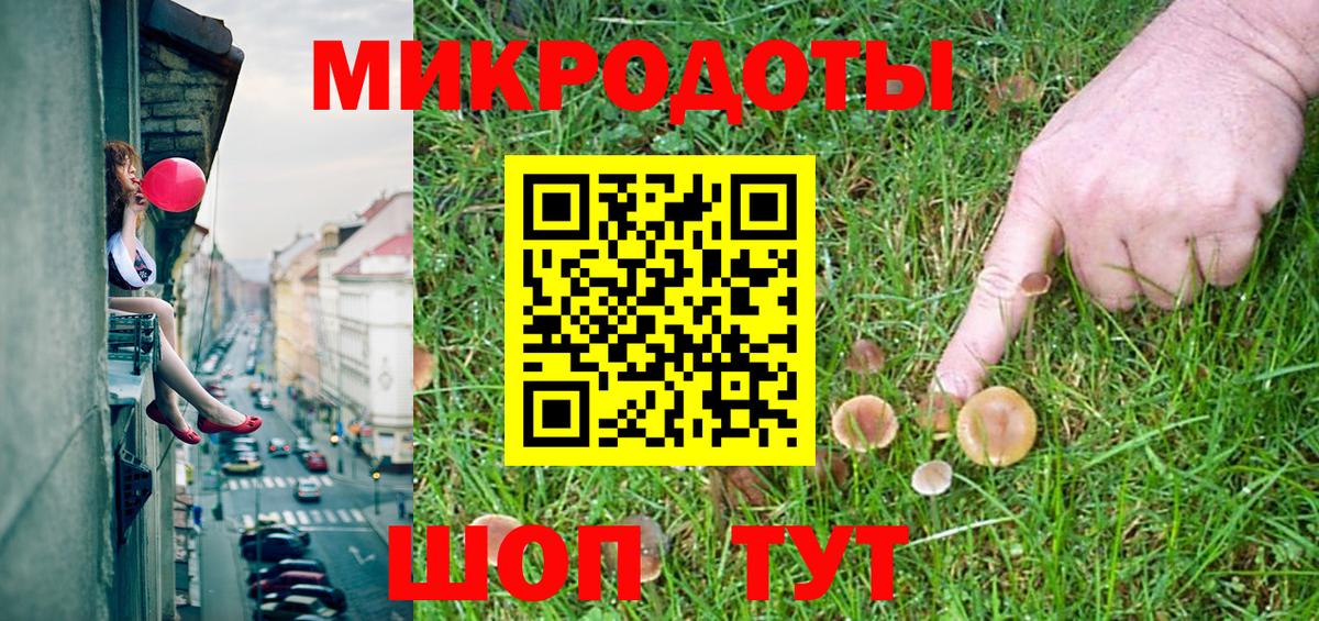 Галлюциногенные грибы Psilocybe Ухта